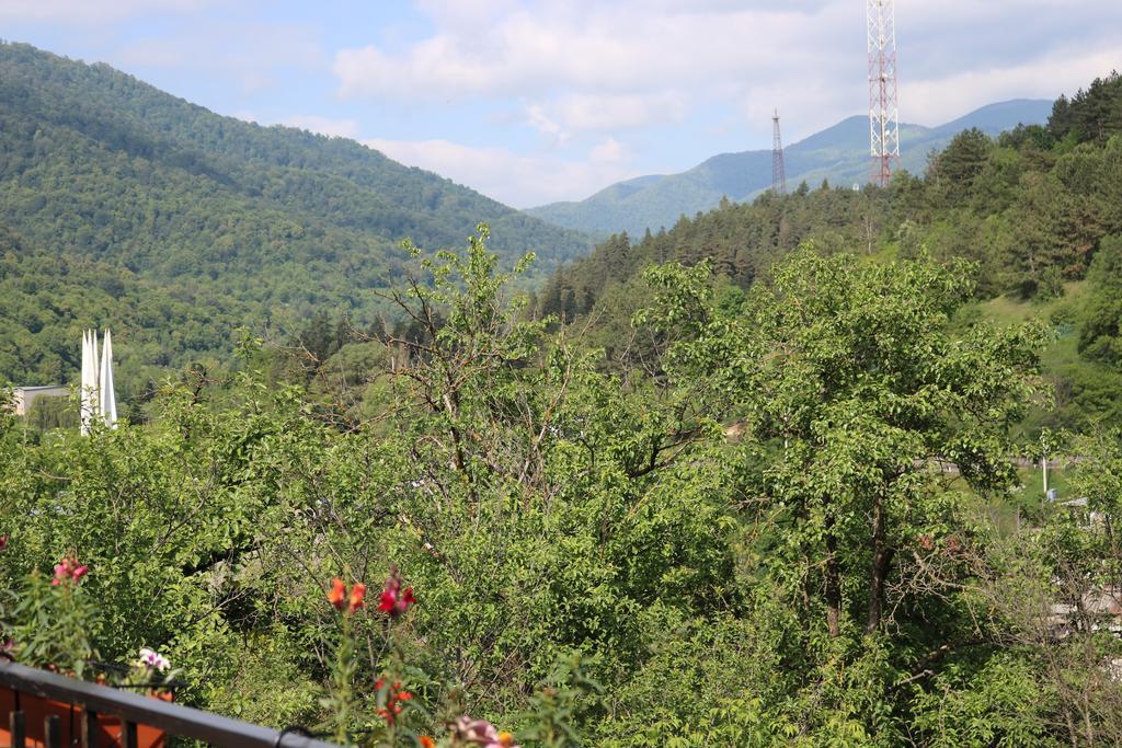 Dilijan Garden House Villa Bagian luar foto